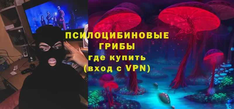 Галлюциногенные грибы MAGIC MUSHROOMS  Клинцы 